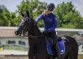 czaprak Royal Blue Equito  (5).jpg
