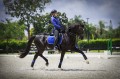 czaprak Royal Blue Equito  (7).jpg