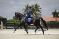 czaprak Royal Blue Equito  (8).jpg
