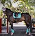 Czaprak Frosty Mint Dressage Equito  (2).jpg