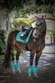 Czaprak Frosty Mint Dressage Equito  (3).jpg