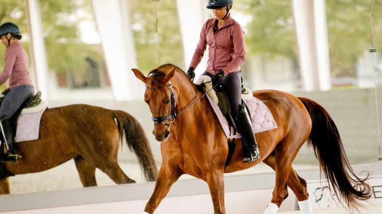 Czaprak Classic Orchis dressage PS of Sweden  (3).jpg