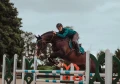 Czaprak Emerald Jump Equestrian Stockholm  (4).webp