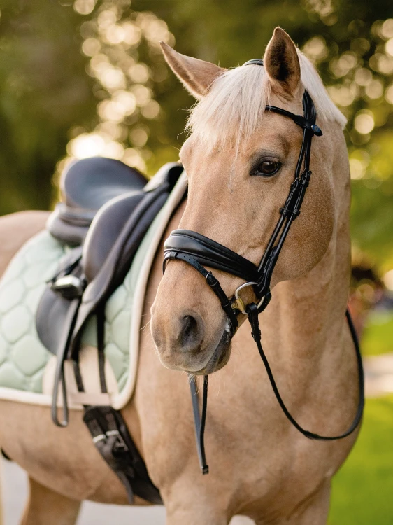 Czaprak Khaki Green PS of Sweden  (4).jpg