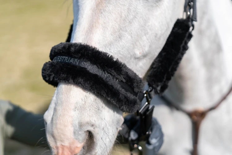 Kantar czarny Total Eclipse Equestrian Stockholm  (1).webp