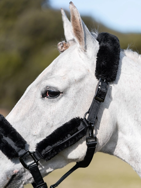 Kantar czarny Total Eclipse Equestrian Stockholm  (3).webp