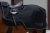 Derka treningowa czarna Total Eclipse Equestrian Stockholm  (1).webp