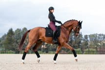 Owijki czarne Total Eclipse Equestrian Stockholm  (1).jpg