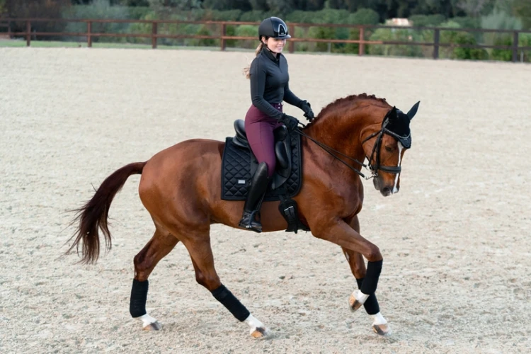Owijki czarne Total Eclipse Equestrian Stockholm  (1).webp
