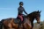 Bluza Power Total Eclipse Equestrian Stockholm  (4).webp