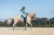Owijki Stone Blue Equestrian Stockholm  (3).webp