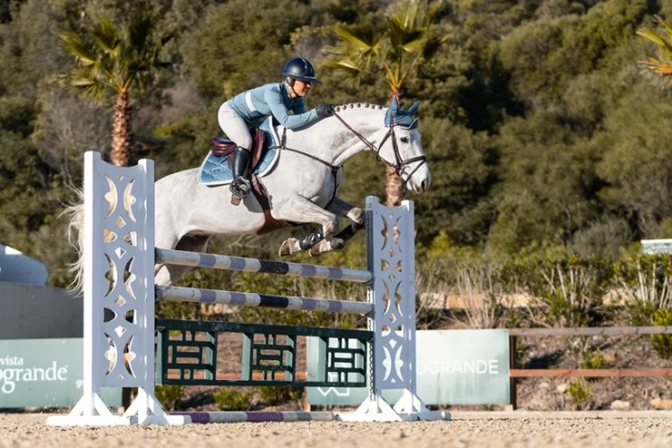 Czaprak Stone Blue Jump Equestrian Stockholm  (2).webp