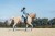 Czaprak Stone Blue Dressage Equestrian Stockholm  (3).jpg