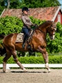 Czaprak ujeżdżeniowy Champagne Equestrian Stockholm  (1).webp