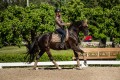 Czaprak ujeżdżeniowy Champagne Equestrian Stockholm  (2).jpg