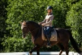 Czaprak ujeżdżeniowy Champagne Equestrian Stockholm  (4).webp
