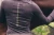 Bluza Vision Golden Brown Equestrian Stockholm  (3).webp