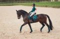 Bluza UV Protection Emerald Equestrian STockholm  (6).webp
