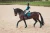 Bluza UV Protection Emerald Equestrian STockholm  (6).webp