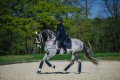 Owijki royal classic equestrian stockholm  (1).webp
