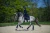 Owijki royal classic equestrian stockholm  (1).webp