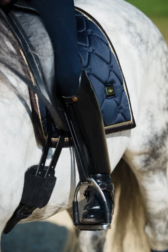 Czaprak royal classic dressage equestrian stockholm  (1).webp