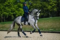 Czaprak royal classic dressage equestrian stockholm  (2).webp