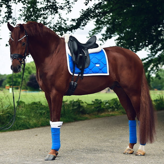 Owijki Sapphire Equestrian STockholm  (1).jpg