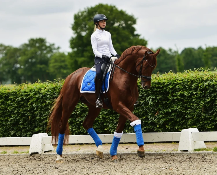 Owijki Sapphire Equestrian STockholm  (2).jpeg