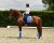 Owijki Sapphire Equestrian STockholm  (3).jpeg