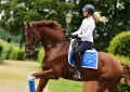 Czaprak ujeżdżeniowy Sapphire Equestrian Stockholm  (1).jpeg