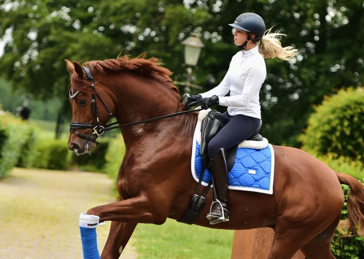 Czaprak ujeżdżeniowy Sapphire Equestrian Stockholm  (1).jpeg
