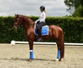 Czaprak ujeżdżeniowy Sapphire Equestrian Stockholm  (2).jpeg