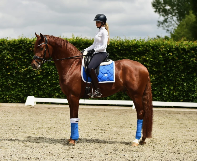 Czaprak ujeżdżeniowy Sapphire Equestrian Stockholm  (2).jpeg