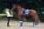 Czaprak ujeżdżeniowy Sapphire Equestrian Stockholm  (3).jpeg