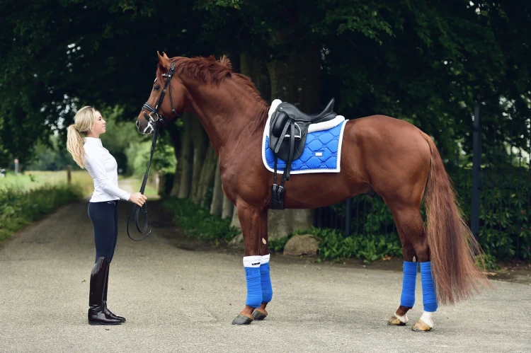 Czaprak ujeżdżeniowy Sapphire Equestrian Stockholm  (3).jpeg