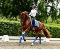 Czaprak ujeżdżeniowy Sapphire Equestrian Stockholm  (4).jpeg