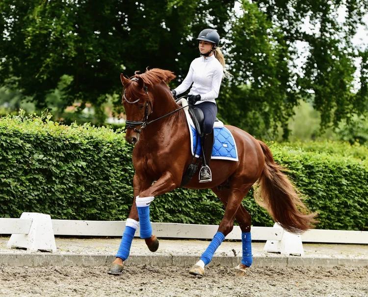 Czaprak ujeżdżeniowy Sapphire Equestrian Stockholm  (4).jpeg