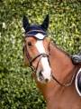 Nauszniki Midnight white edge  Equestrian STockholm  (1).webp