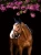Nauszniki Midnight white edge  Equestrian STockholm  (2).webp
