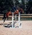 Czaprak Midnight white edge equestrian stockholm  (1).webp