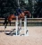 Czaprak Midnight white edge equestrian stockholm  (1).webp