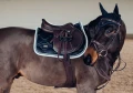 Czaprak Midnight white edge equestrian stockholm  (3).webp