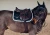 Czaprak Midnight white edge equestrian stockholm  (3).webp