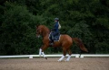 czaprak midnight white edge dressage equestrian stockholm  (2).webp