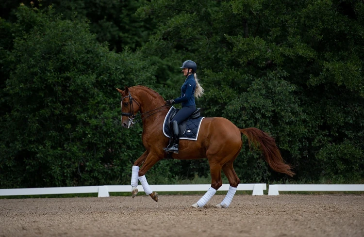 czaprak midnight white edge dressage equestrian stockholm  (2).webp