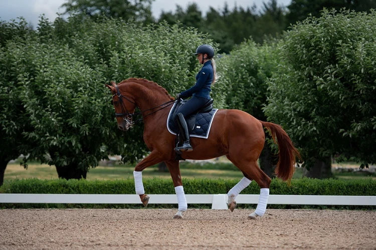 czaprak midnight white edge dressage equestrian stockholm  (3).webp