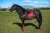 czaprak ujeżdżeniowy grenadine equestrian stockholm  (2).webp
