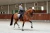 Owijki Sportive Blue Ash equestrian stockholm  (3).webp