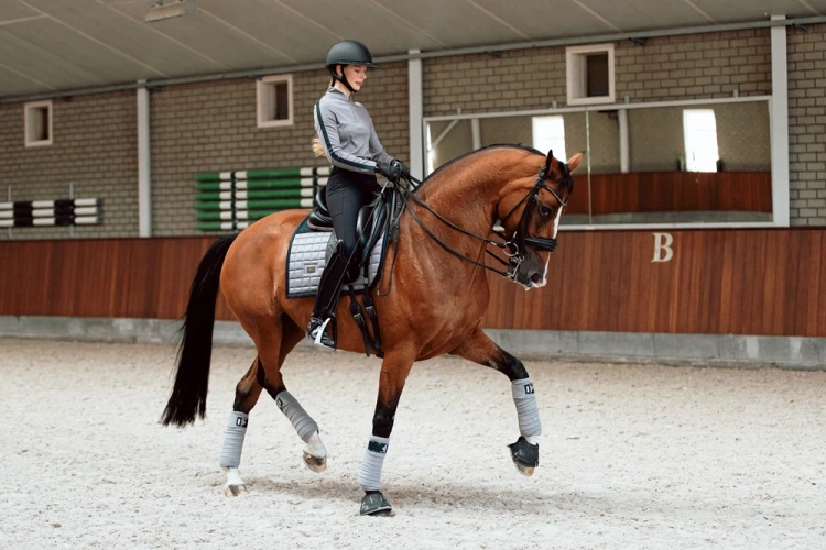 Owijki Sportive Blue Ash equestrian stockholm  (3).webp